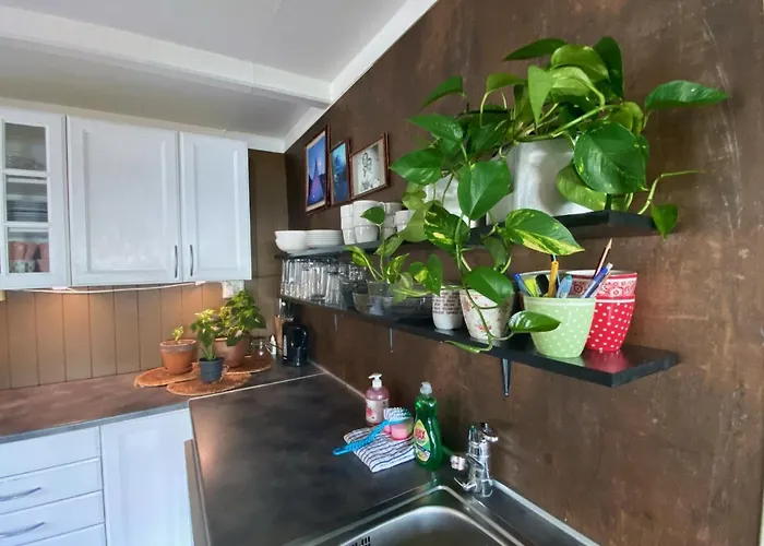 Orcas Bay Lofoten * Sennesvik