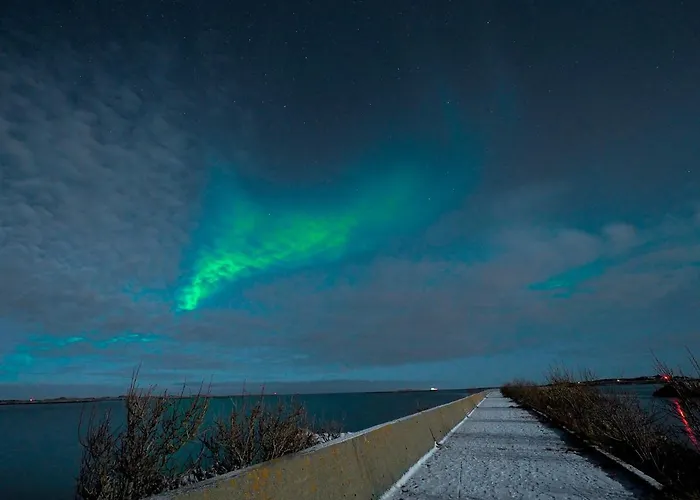 Orcas Bay Lofoten Feriehus Sennesvik